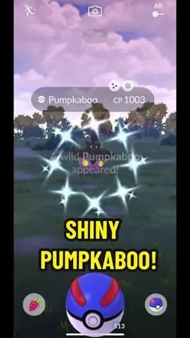 Finally! 😭💜 - #pokemongo #pokemon #pokemongoshinyhunt #pokemongoshiny #pumpkaboo #shinypumpkaboo #shinypokemonhunting