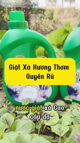 Nước giặt xả Dạ Thảo Liên hương thơm Quyến Rũ #thaotran093 #nuocgiatdathaolien #giadungtienich #affiliate 