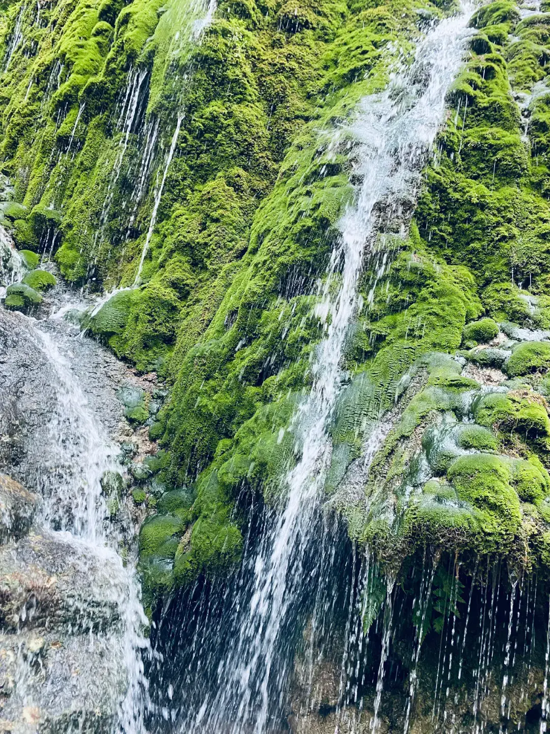 #mauhalekwaterfall 🌿💦#atambuabelu #nttpride🏝🔥 #masukberanda 