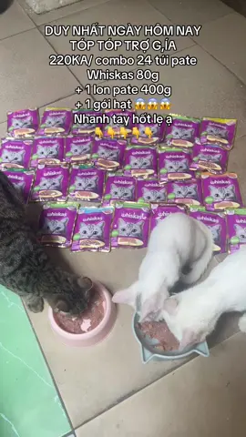 combo 24 túi pate whiskas cho mèo ạ #fypシ #nhanuoibaocon #vitaminmèo #cat #catsoftiktok #catlover #moew 