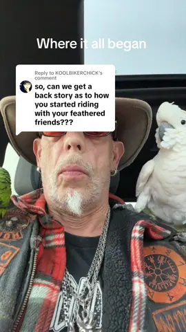 Replying to @KOOLBIKERCHICK #fyp #RescueAnimals #IVMC #birdmanbobby1 #CockatoosOfTikTok #conuresoftiktok #