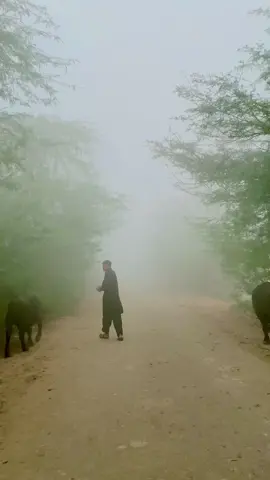 #Punjabi #pindawale #tiktokshop #tiktokshop #viralvideotiktok #viralvideotiktok #transition #punjabisong #Pind 