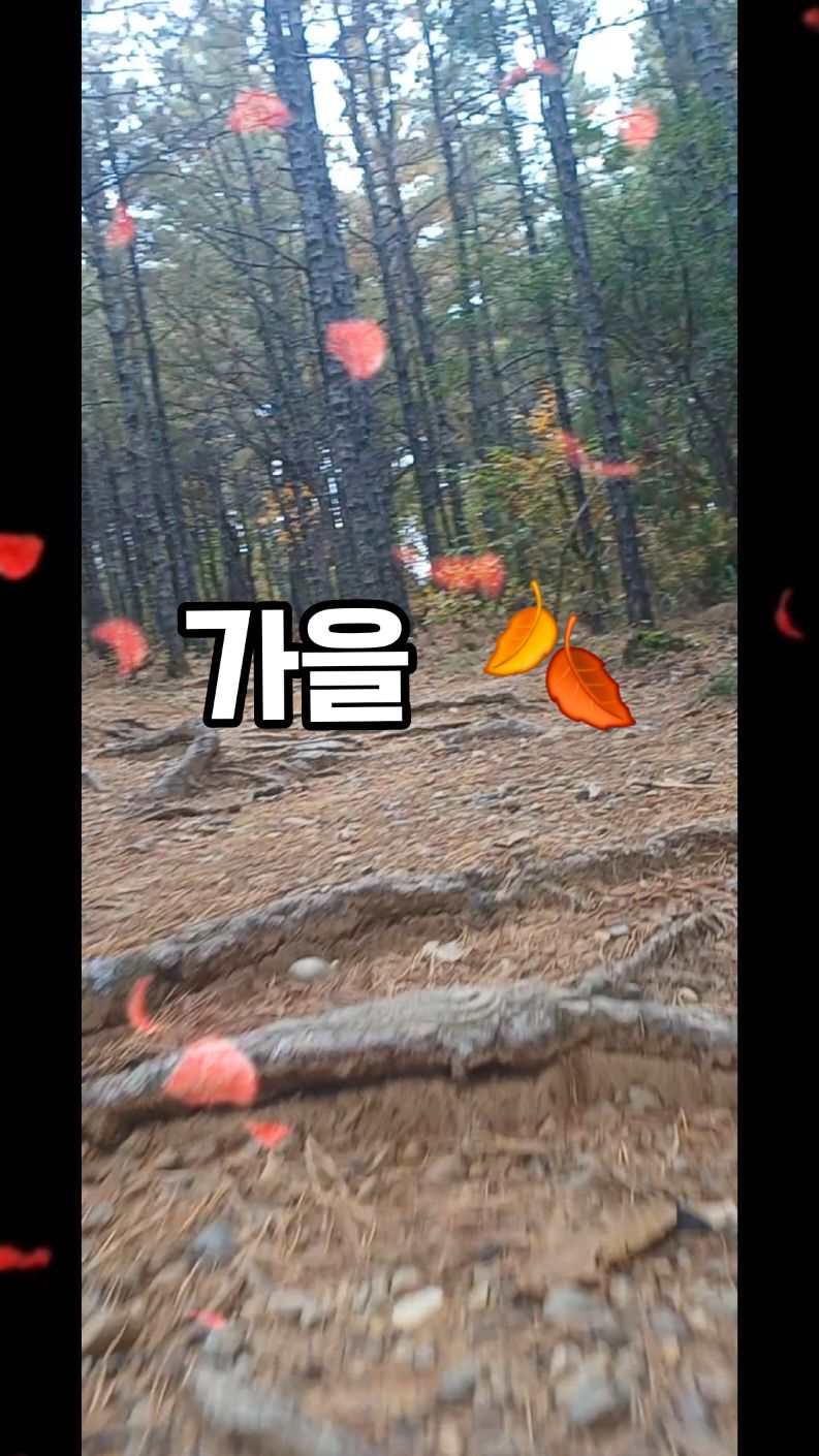 #가을산행🍁 #가을풍경