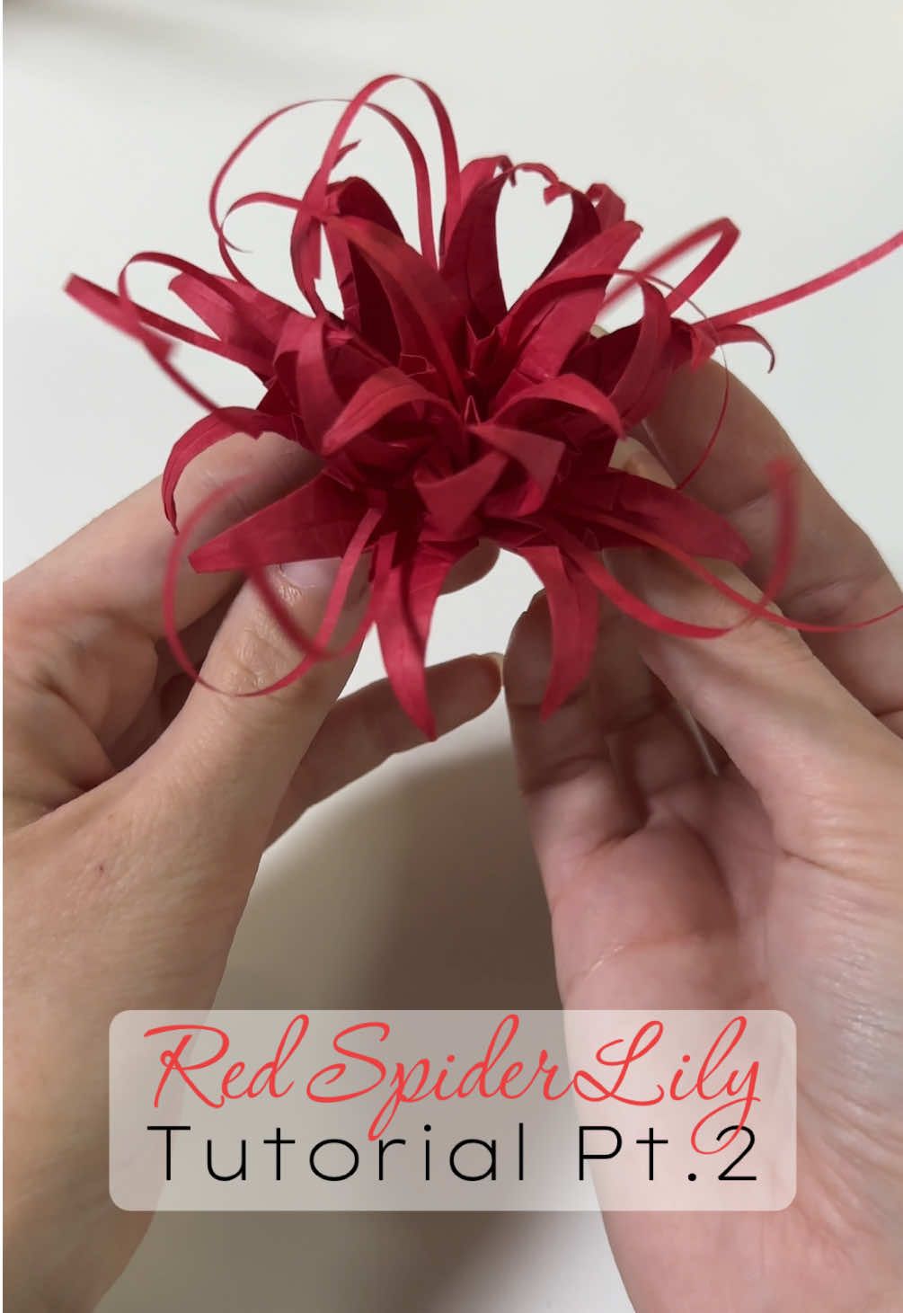 PART 2 of the red spider lily origami tutorial‼️♥️ ❕go to PART 1 for the flowers ❕like & follow for more #origamiflower #paperflower #origamitutorial #redspiderlily #lycorisradiata #tokyoghoul #kaneki #animeflower 