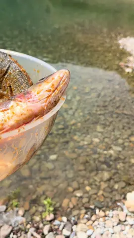 😍🤤🐟