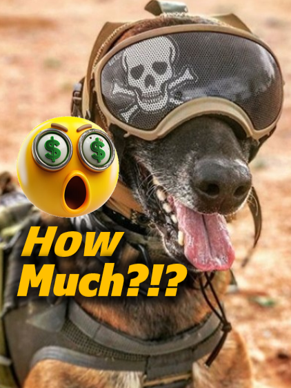 How much does it cost to train a military dog? The price may surprise you! 🐕💰 #animallover #militarydogs #DogTraining