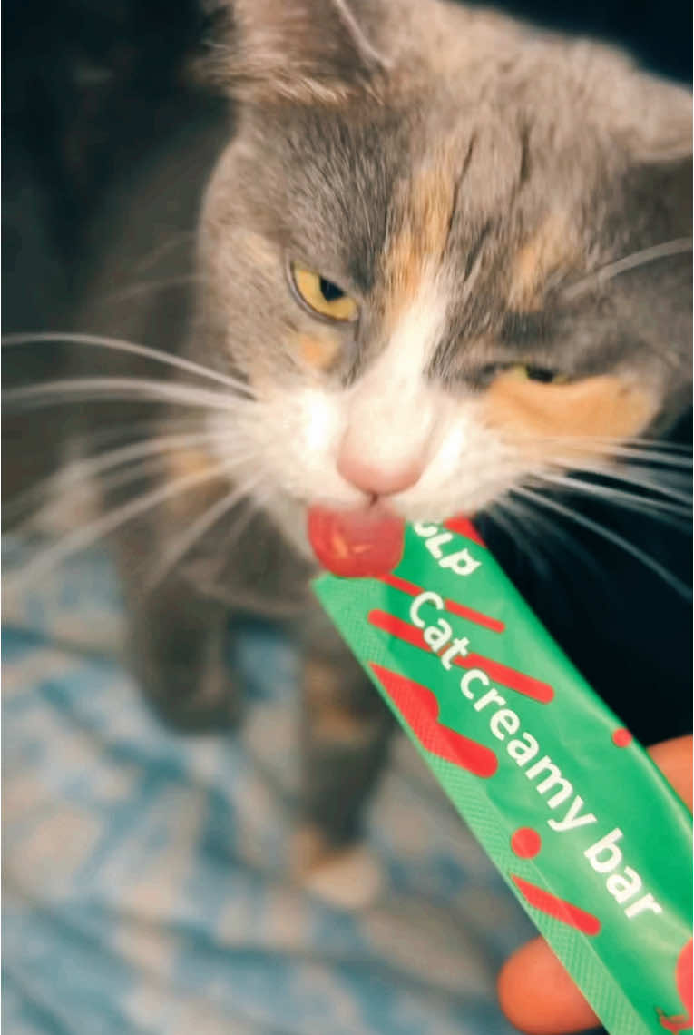 Athena goes crazy for the licking sticks🐈‍⬛👅 #cat #catlick #catcreamytreat #TikTokShopBlackFriday #catsoftiktok #TikTokShopCyberMonday #christmas 