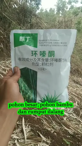 butiran pestisida dan herbisida buatan china ini, menjadi solusi yang tepat untuk membasmi gulma yang membandel, pohon bambu, dan juga pohon besar #herbisida #madeinchina #basmigulma 
