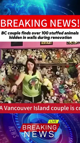 A Vancouver Island couple is connecting with people around the world following a delightful discovery in the walls of their home.   They bought a home in Sooke, B.C. last October and started renovations.Owner Connor Nijsse was working on the last spot in the corner of the garage when he removed the drywall and made a startling find.  “Just this one spot is where we found all the stuffed animals.   About five studs worth of them,” he said.  The previous owners had used more than 100 stuffed animals as insulation and the toys were wrapped in plastic and remarkably good condition.#foryoupage❤️❤️ #breakingnews #tik_tok #foryou #news #fyppoppppppppppppppppppppppp #usa #for #fitment #plushtoys 