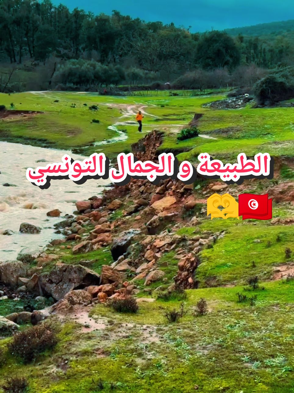 الطبيعة و الجمال التونسي🇹🇳🫶 #tunisie🇹🇳  #الطبيعة  #ناس_الغربة 