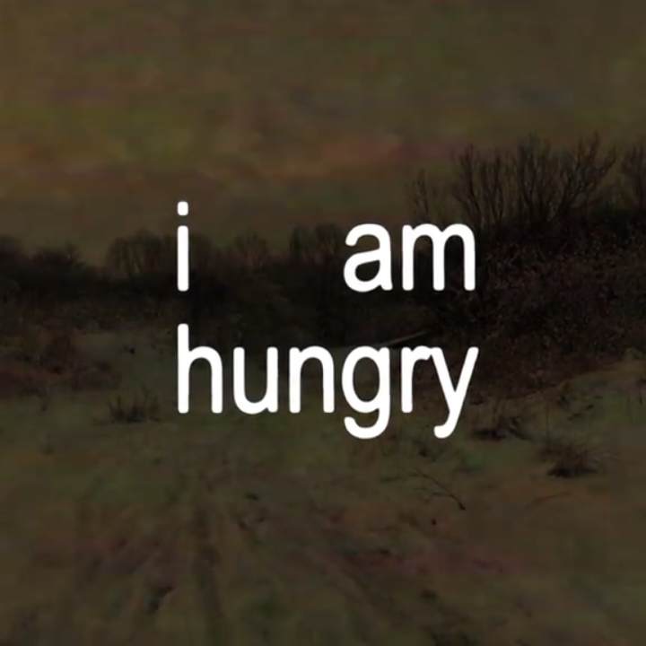 I am hungry || #abbey #mitski #mitskitok #mitskimybeloved #ilovemitski #liminalspaces #liminal #song #lyricsedit #lyrics #mylyrics #targetedaudience 