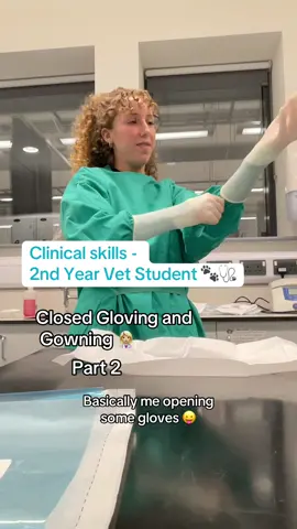 Closed Gloving! From my face at the end, I was genuinely really happy I did this 🤭 I think all vet students can agree, it makes u feel like a mini vet. Also thanks to Gabby for filming! Go and follow her vet instagram @ultimuttvet!  #vetstudent #fyp #gloving #surgery #fypviral #veterinary #lmao #jokes #hkvets #animaldoctor 