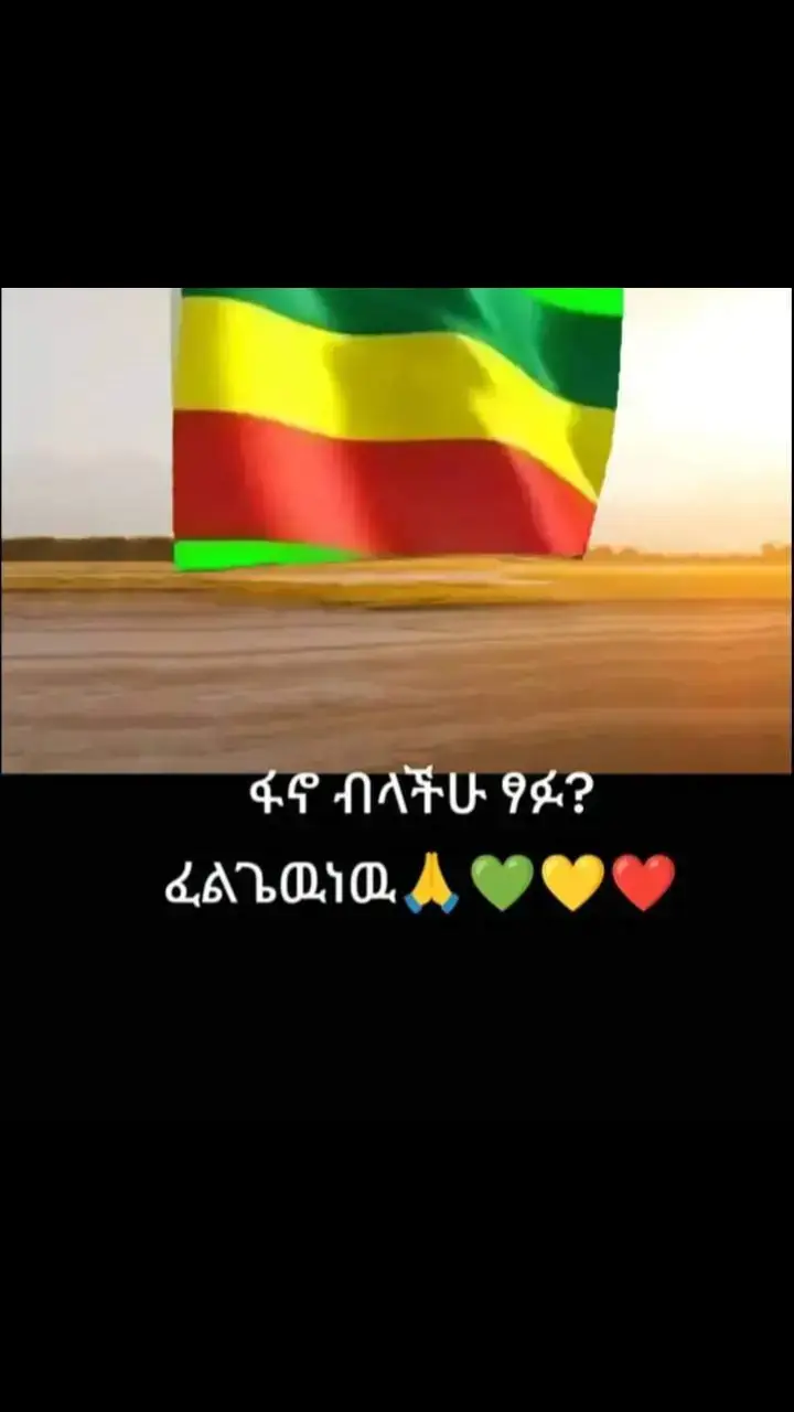 #ፋኖመከታቺን💚💛❤💪💪✅ቤተአማራ💚💛❤✊💒❤🤝❤🕌 #አማራዬ💚💛❤አማራዬ💚💛❤️🐅ፋኖ❤️ #አማራዬ💚💛❤አማራዬ💚💛❤