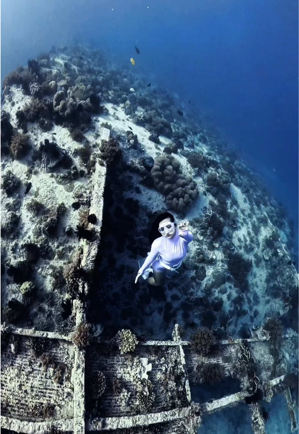 Gili Trawangan , Lombok💙 #freediver#freediving#freedive#gilitrawangan#gilitrawanganlombok#lombok#lomboktiktok#lombokisland