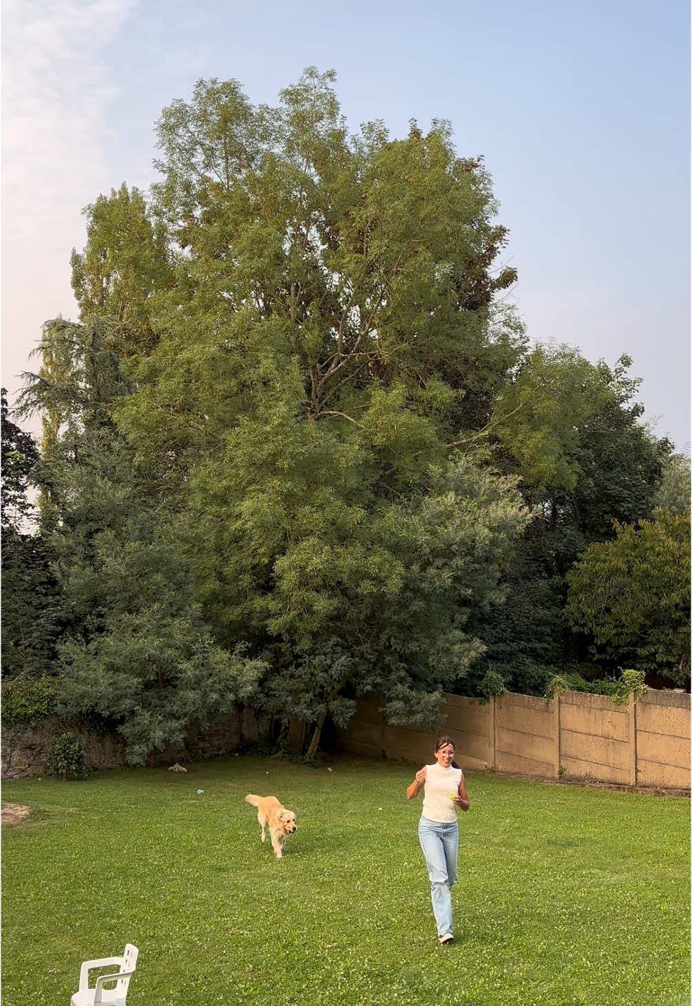 Passer du temps avec ses animaux c’est la meilleure façon de se vider la tête #fyp #goldenretriever 