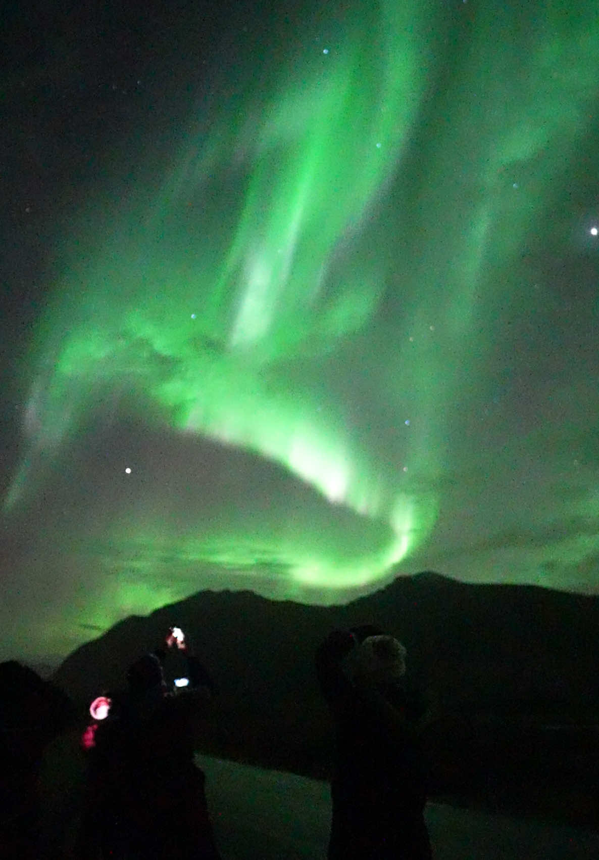 Amazing northern lights last night in the skies south of Lofoten 😍 what a beautiful dance from the aurora! #nordlys #lofotenislands #norway #auroraborealis #revontulet #nordlichter #northernlights #polarlichter #traveltiktok 