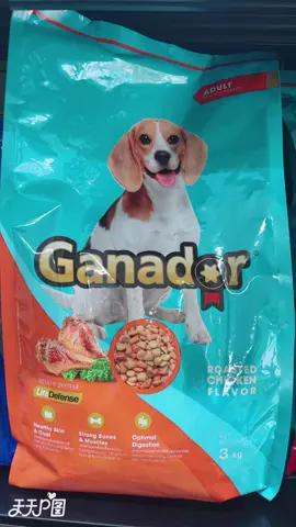 Mua 3kg tặng 400g. Dòng hạt Ganador dành cho tất cả các giống cún mọi lứa tuổi. #punnaupetshop #thúcưng #GanadorPremium #poodle #giaitritiktok #ganador #dogsmile #petfood #thucung #corgi #mèo #tiktok 