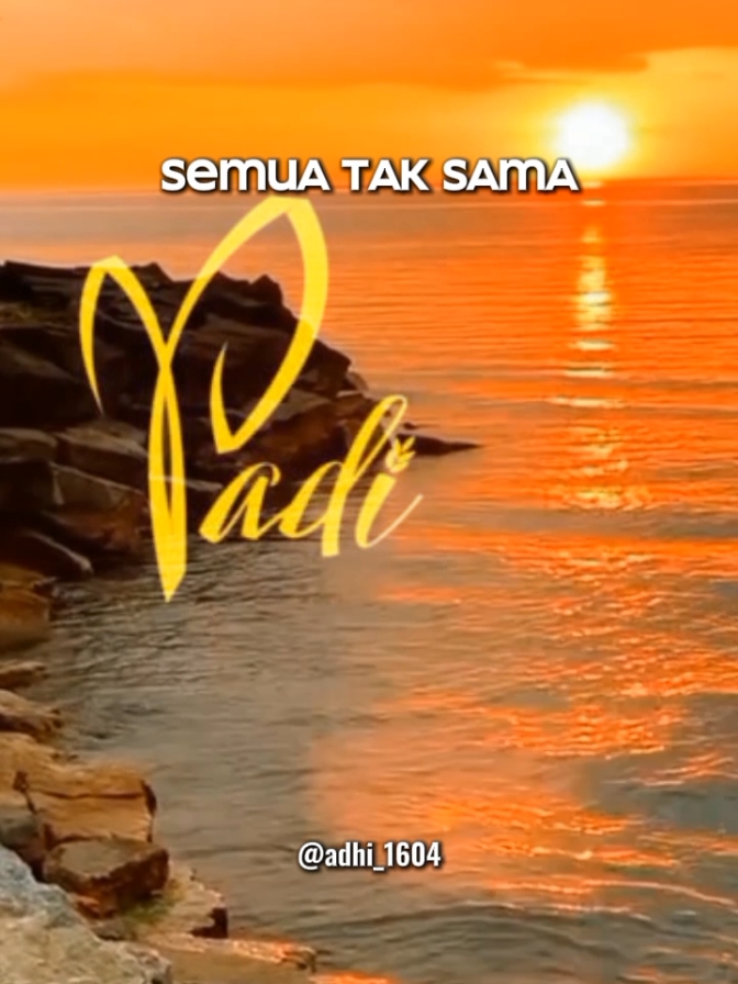 Padi - Semua Tak Sama #music #padi #semuataksama #titkokmusic #tiktokindonesia #music_id #adhi_1604 #fyp  @maharatri3 