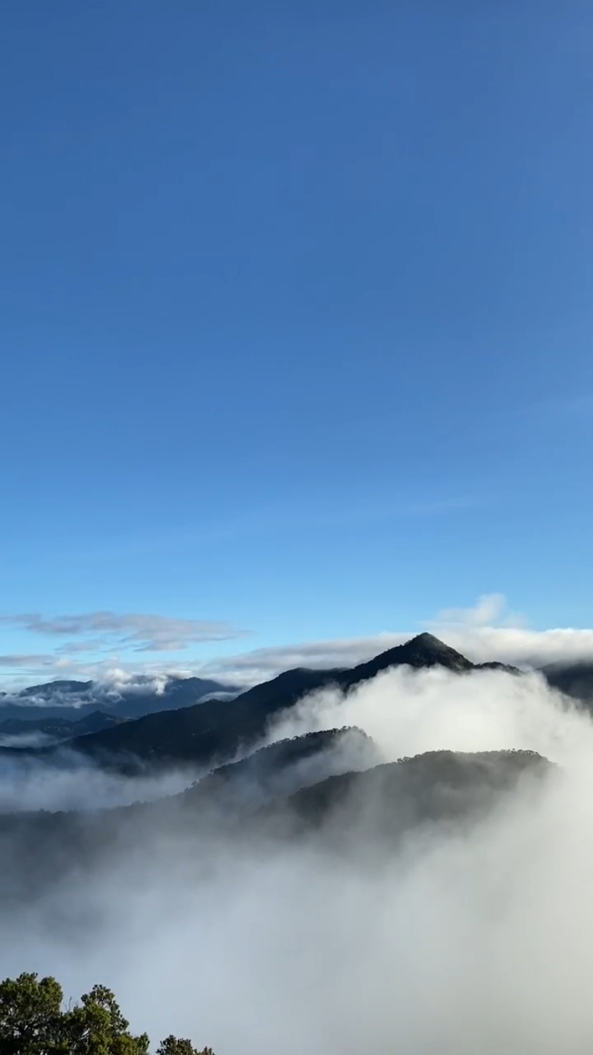 nikmatnya ciptaan Tuhan❤️ #mamasa #awan #gunung #mambulilling⛰️ #puncak #pendakigunung #sulbar #fyp 