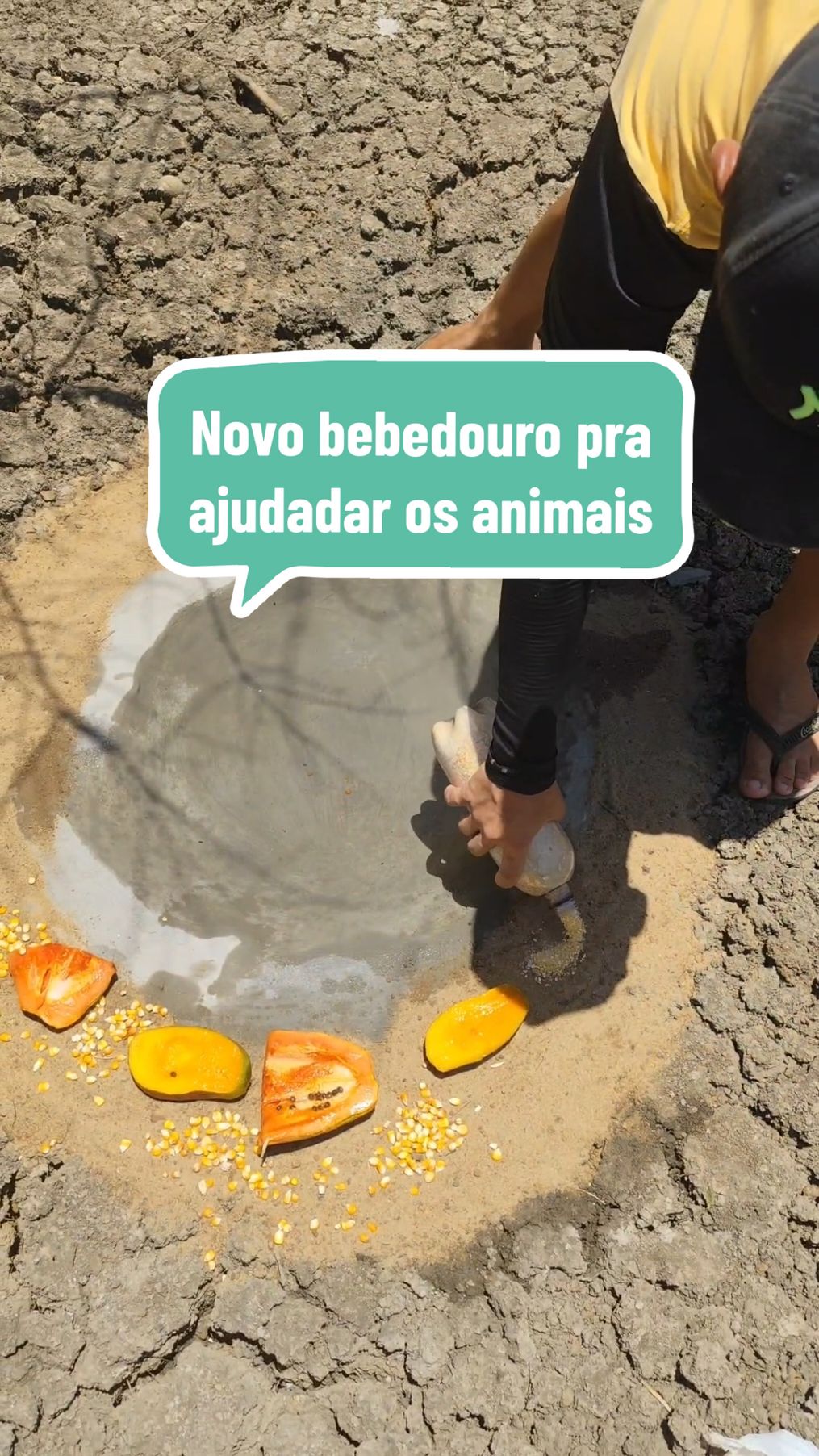 O bebedouro dos animais finalmente ficou pronto🤩#ajudandoanimais #animais #natureza #sertao 