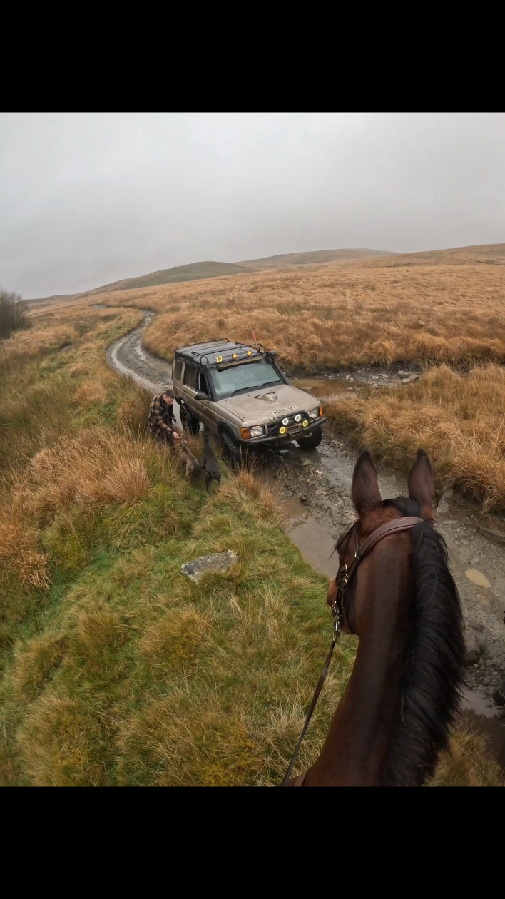 Today's adventure - We met some really lovely off-roaders on the green lane! Always a pleasure🥰 #offroading #offroad #greenlane #greenlaningwales #greenlaninguk #greenlaning #strataflorida #equestrianlife #endurancehorse #lurcher #piethelurcher #reginaldthelurcher 