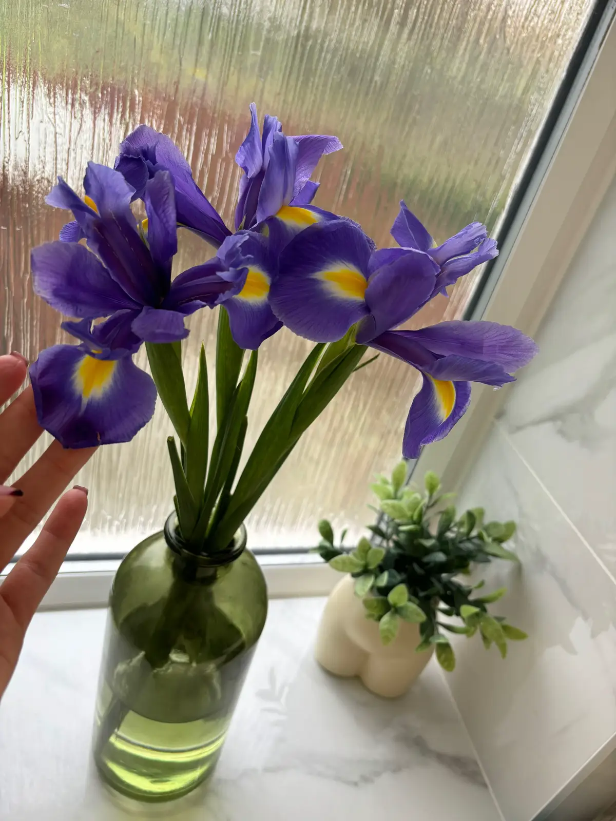 Iris flowers & lilly’s have to be my favourites 🥺🌸🩷 #FYP #flowers #iris #LoveIsland #beautiful 