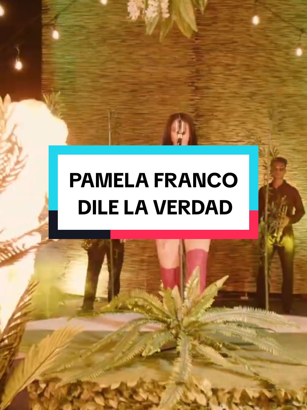 Pamela Franco - Dile La Verdad #pamela #franco #dilelaverdad #orquesta #cueva #pamelafranco #Cumbia #peru🇵🇪 #viral_video #tendencia #2024 #video #lyric #letras #for #fypp @Pamela Franco Viera 