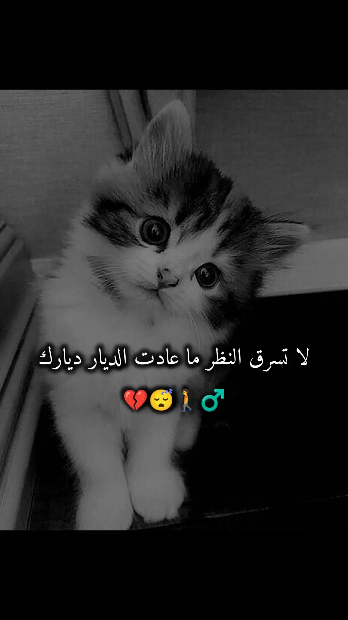 لا تسرق النظر ما عادت الديار ديارك 🚶‍♂️😴💔