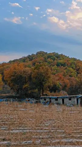 پایز وو سرووشتی پێنجوێن🍂#ako_salar_photographi #foryou #tiktok #videography 