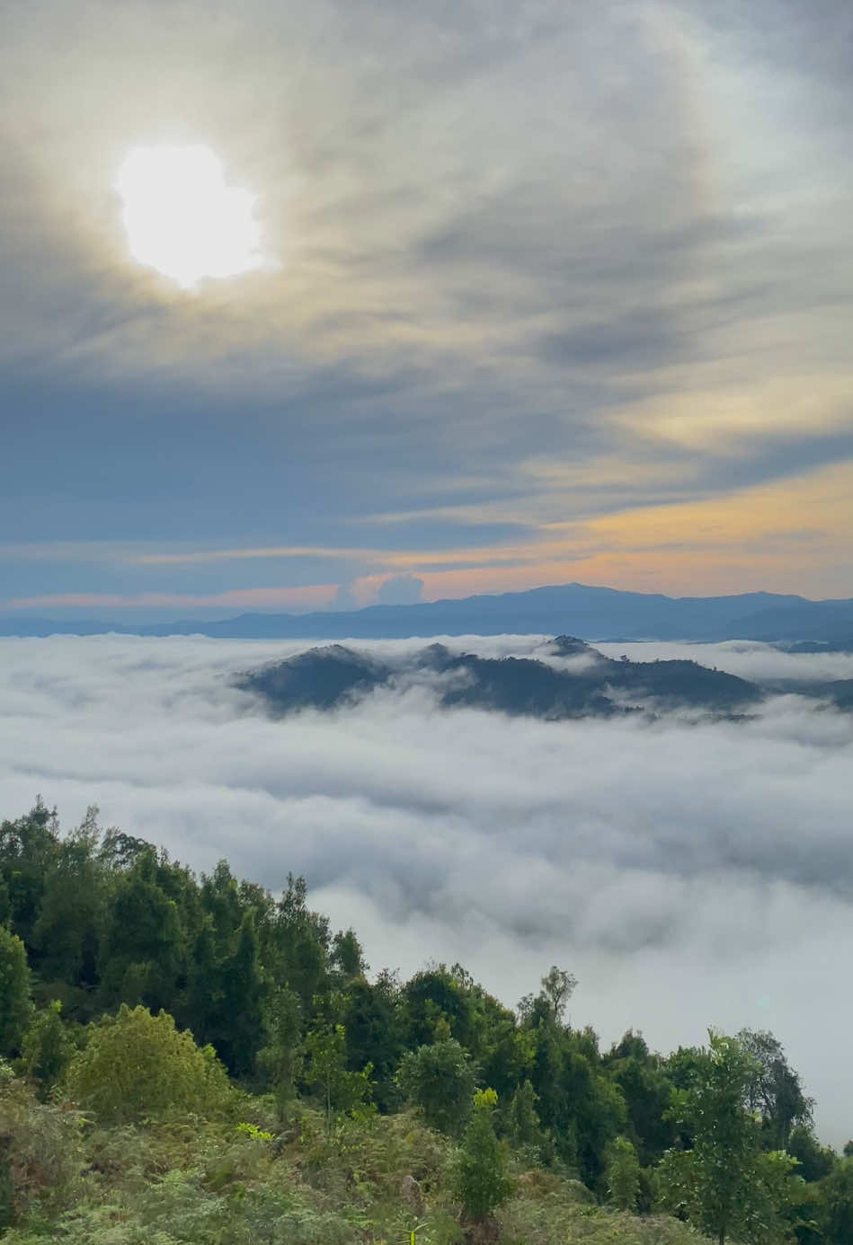 Untuk menciptakan kebahagian terkadang kita perlu merasakan sakitnya terlebih dahulu #tahurasultanadam #lautanawan #awan #banjar #fyp #tahura 