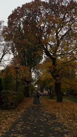I will miss you, autumn 🤎 #fall #october #autumn #slowliving #calmtok #fallaesthetic #autumnaesthetic #falltok #autumnvibes #naturetok #raincore #stockholm #phoebebridgers #fyp #foryou 