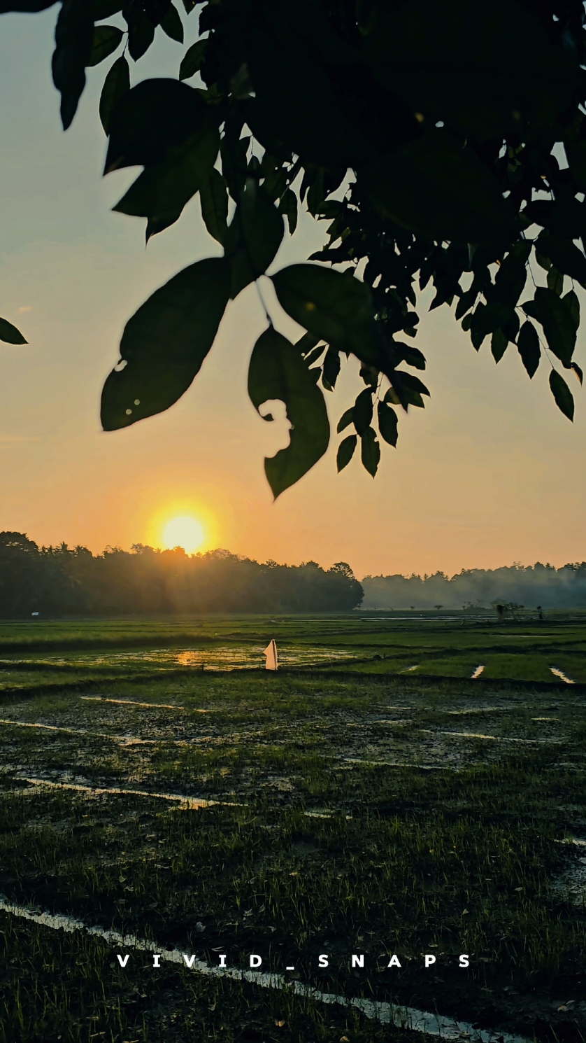 This Feeling 😩🍃♥️...... #capcut #colourgrading #s23ultra #naturevibes #naturalbeauty #srilanka #trending #fyp #foryou #foryourpage #videography #vividsnaps #rurallife #green  #vibe #🥺 #like #travel #mobilevideography #filter #new #village 