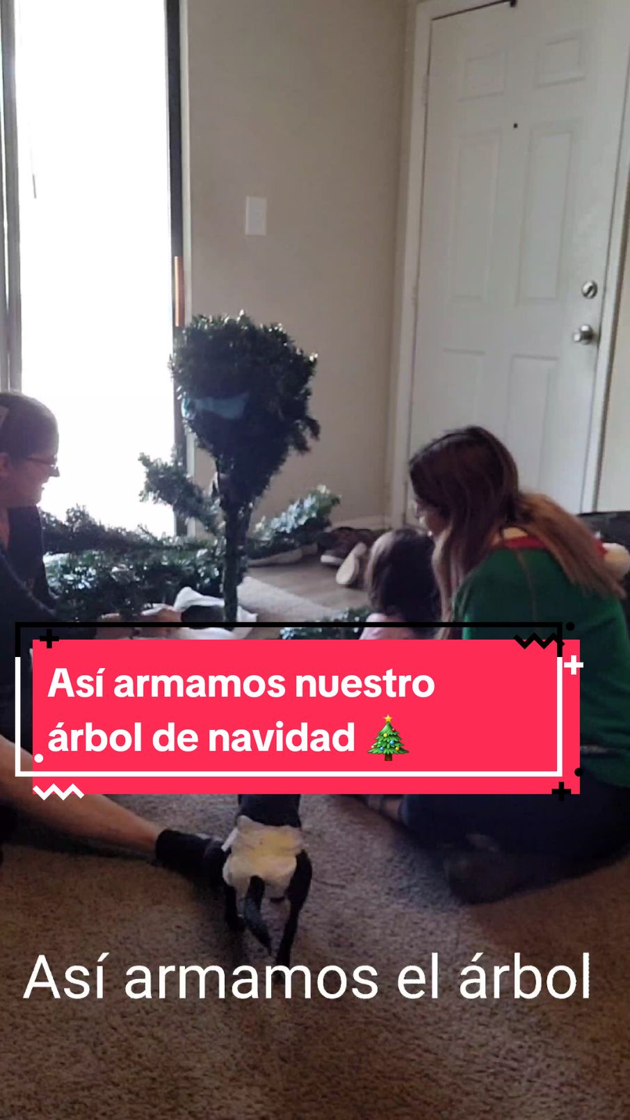 Así armamos nuestro árbol de navidad 🎄😍, mi mamá y Anto me ayudaron 🥰 . . . #navidad #arboldenavidad #christmas #familia #mom 