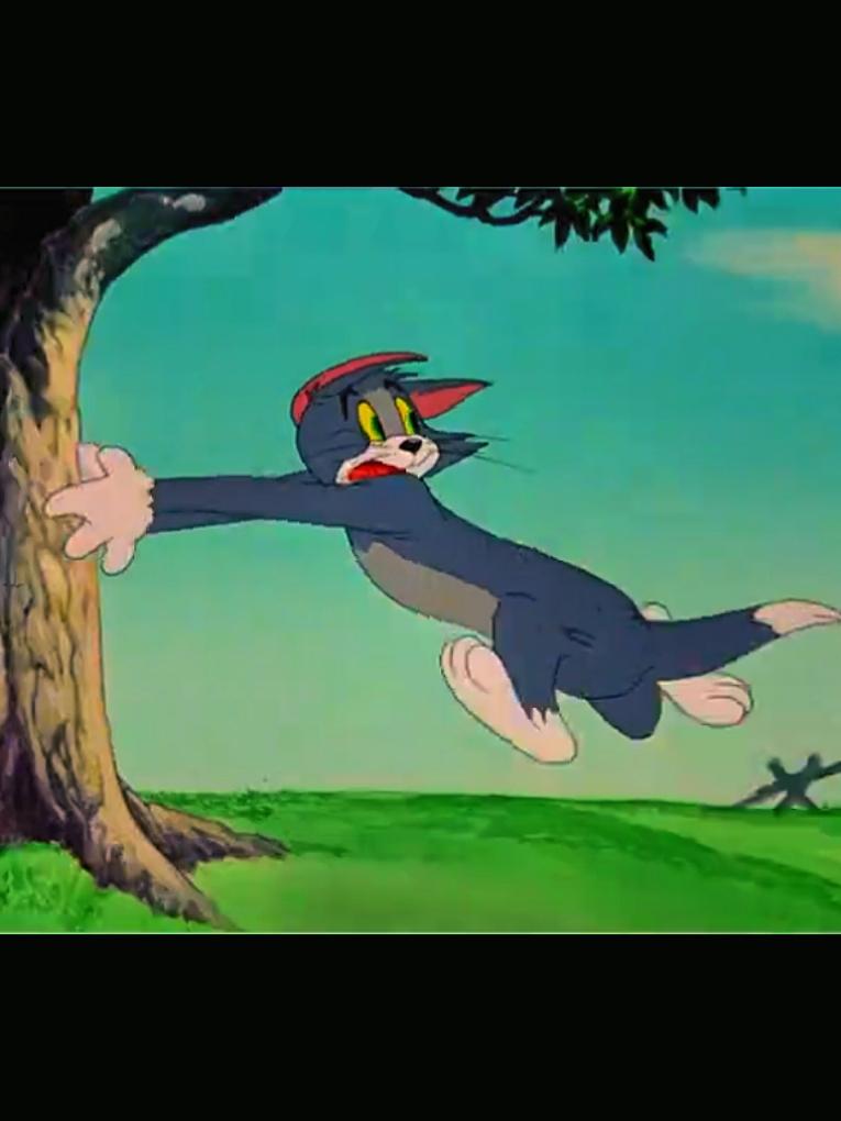 Part 10 | Tom and Jerry  #tomandjerry #animation #cartoon 