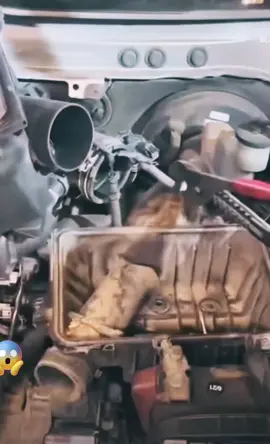 Little buddy hide behind cabin filter 😆 #viralvideo #dfw #fortworth #dallas #mechanic #trendingvideo #goviral #foeyoupage #automotive #foryou #fyp #trending #technician 