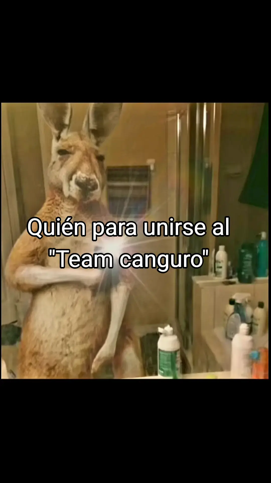 Canguros vamos a apoyarnos entre todos🦘  . . . #fyb #fyb #teamcanguro #paratiiiiiiiiiiiiiiiiiiiiiiiiiiiiiii #parati #canguros #viral #familia #🦘 #🦘 #🦘 #🦘 #familiacanguro #frases 