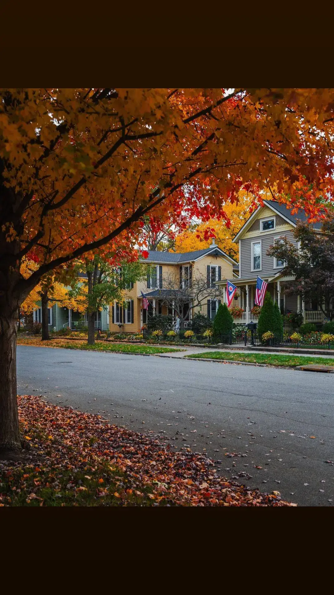 Quiet old neighborhoods are my favorite. Each home is unique and constructed well. . . ✔️ Credit 👉🏆🎥 @jacobxrossi  . . ✔️Alliance @america_states @guimellousa @enjoy_la_  . . #conexaoamerica #germantown #ohio #autumn #fall 