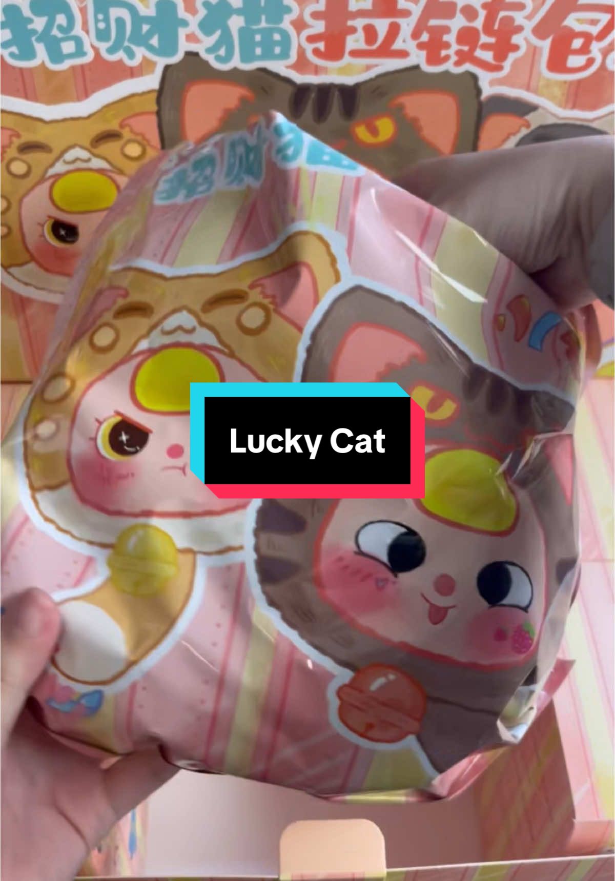 Unbox Lucky Cat nha, mới khui box đầu tiên xĩu cái đùng 🤣🤣🤣 #babythree #luckycat #bb3luckycat 