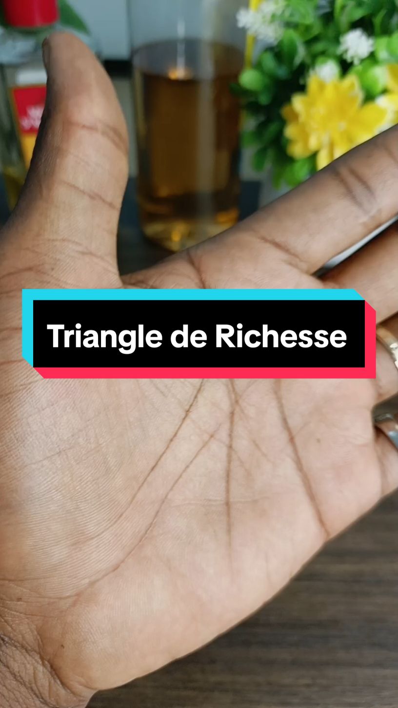 A tout ceux qui ont le triangle de la richesse #fyp #pourtoi #tiktokfrance 