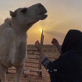 #صغير _غير_كبرني_زماني والشقا_وعقل_لا_عرفته_عقل_لا_تعقيل #حركة_لاكسبلورر #الشعب_الصيني_ماله_حل😂😂🏃🏻‍♀️ #اكسبلورexplore❥🕊🦋💚❤ #تفاعلكم #تصميم_فيديوهات #فولو_اكسبلور #شعر_ليبي #شعراء #fybシviral_video_tiktok #tiktokindonesiafyp 