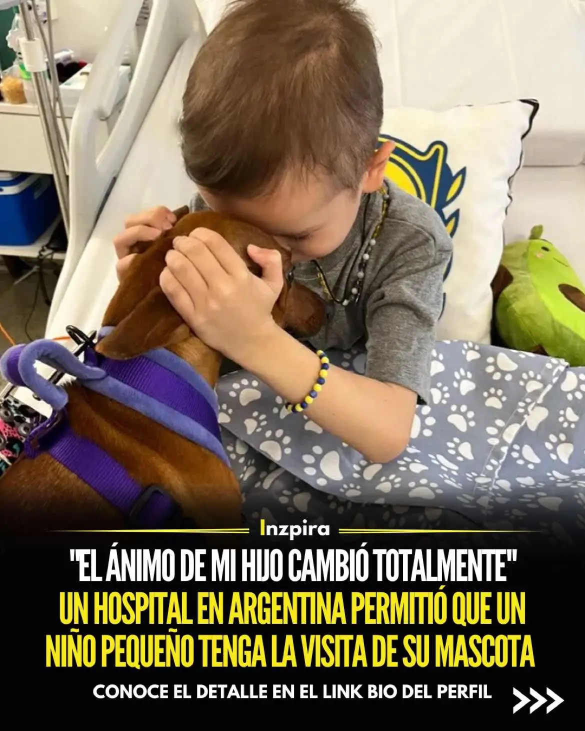 Un hospital en Argentina ha puesto en marcha un programa innovador que permite que los niños internados reciban la visita de sus mascotas, un esfuerzo que ya está mostrando efectos muy positivos en los pequeños pacientes. ✅ Conoce el detalle en el link bio del perfil. • • • #Argentina #Hospital #Niños #Inspirador 