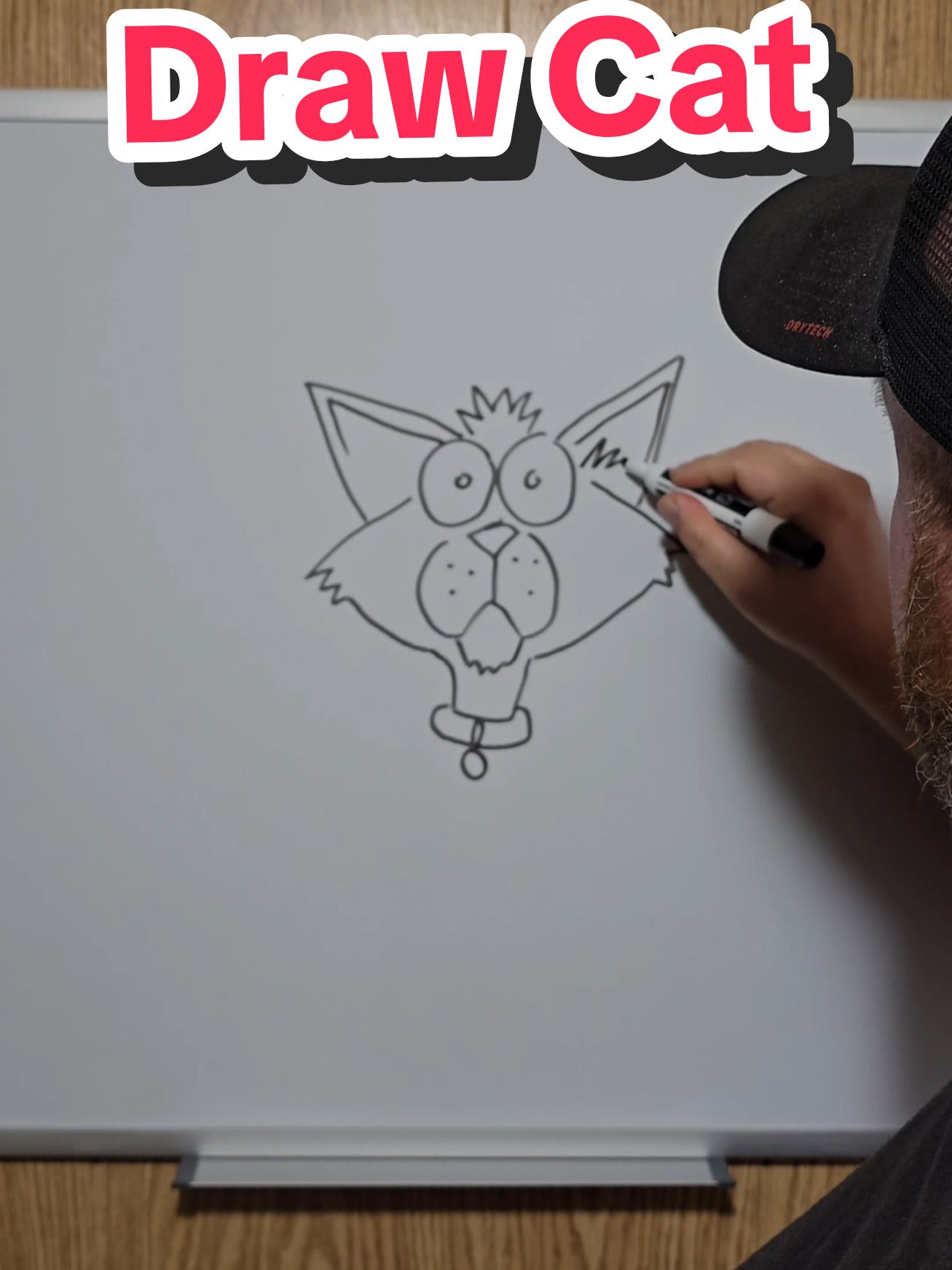 how to draw a cat