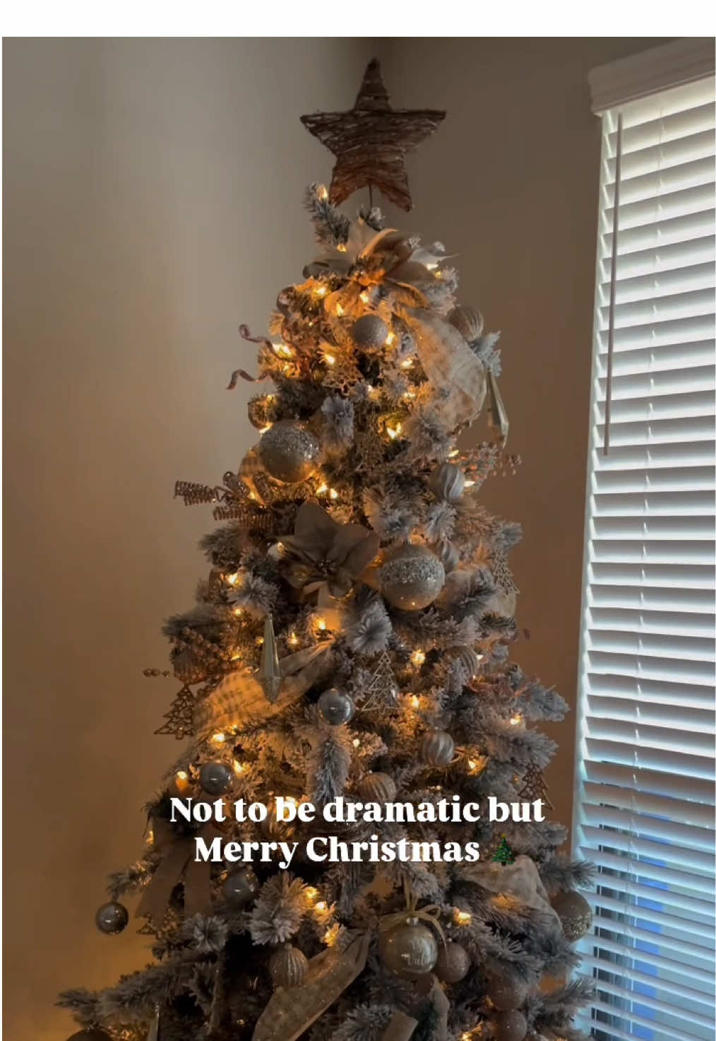 MERRY christmas lol