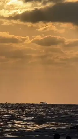 ورضيت حين مضيت عني  هل قلت لي يوما تهني   فأملت ان لا تخلو مني  اقتلت ام ما زلت حيا   زفوا حبيب القلب اني   لله كلي رغم حزني    القاه في جنات عدن   في موطن الفردوس نحيا 😔💔☝🏻🤲🏻