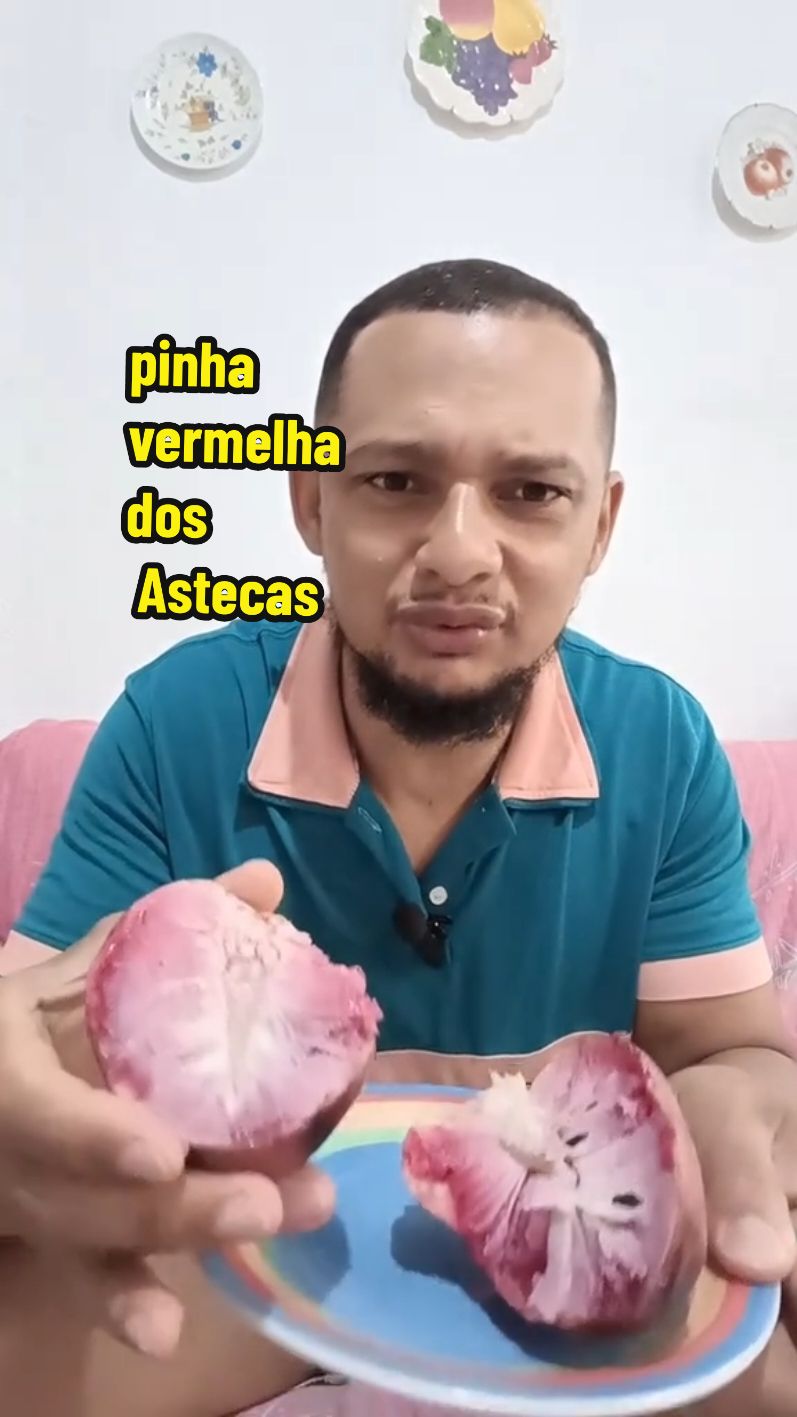 Conheça a pinha vermelha dos Astecas  #natureza #viralvideos  #naturezaperfeita #viral #fyp #annona #annonaceas #top @Anailson natureza 