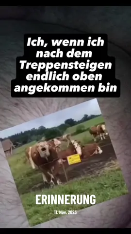 #erinnerung