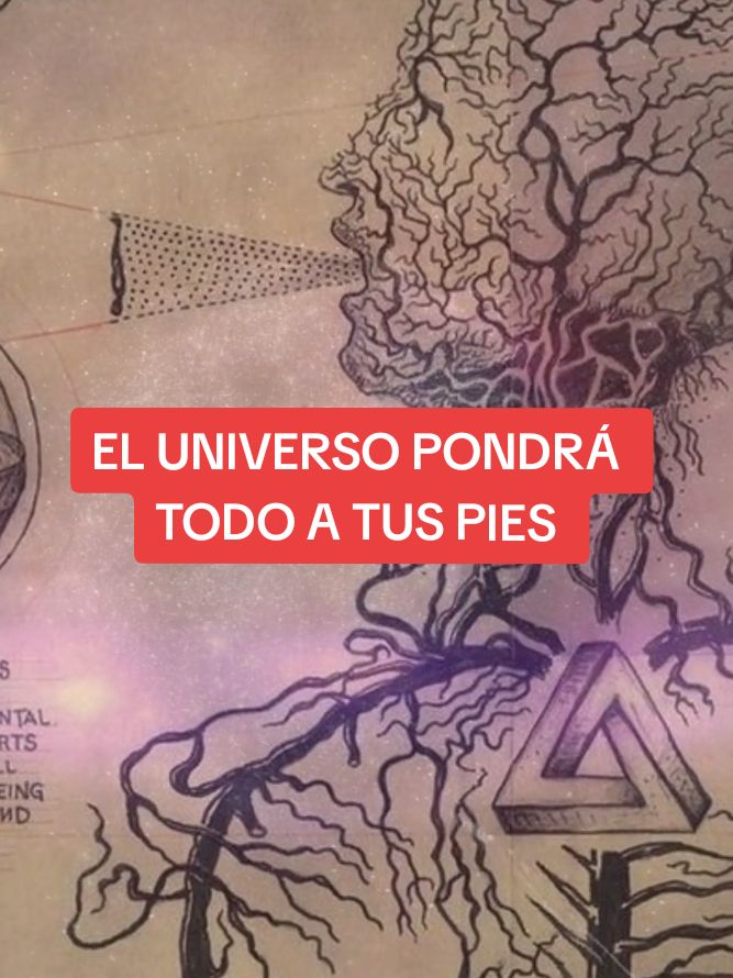 HABLA ASÍ Con El UNIVERSO y PONDRÁ TODO A TUS PIES en 1 NOCHE | Técnica Dr. Joe Dispenza #leydeatraccion #leydelaatraccion #manifestar #manifestacion #manifestardeseos #joedispenza #afirmaciones 