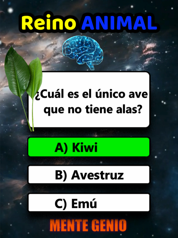 Test Animal para Expertos en Curiosidades Salvajes🦁🌍 #trivia #animalestiktok #preguntas #culturageneral #quiz #animales #adivina #animal