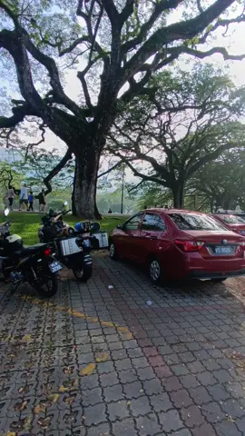 Good Morning... From Taiping with Love... 😎 #solorider #morningvibes  #tamantasiktaiping #taiping #perak #tiktokmalaysia🇲🇾 