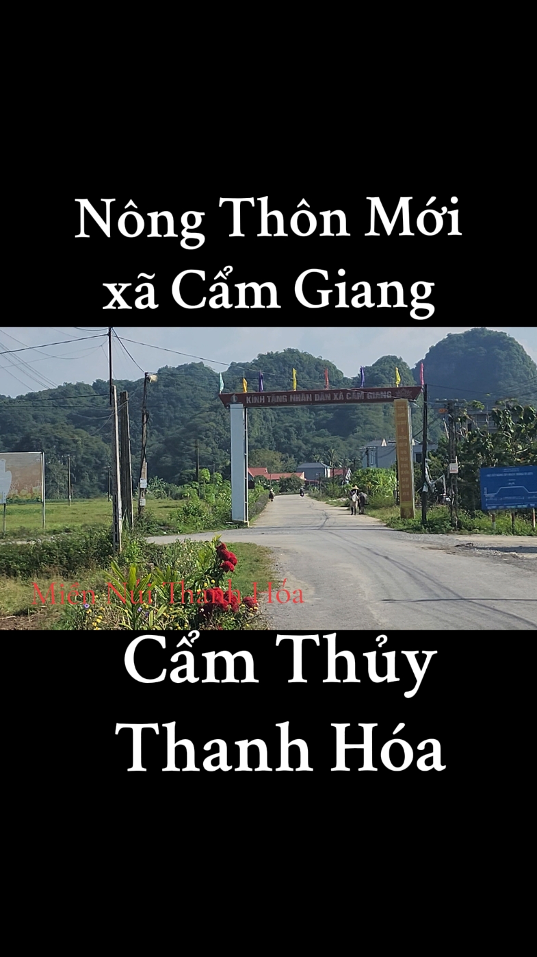 Một ngày nắng đẹp trên quê hương Cẩm Giang, Cẩm Thủy, Thanh Hóa. #camthuy #thanhhoa #miennuithanhhoa #nongthon 